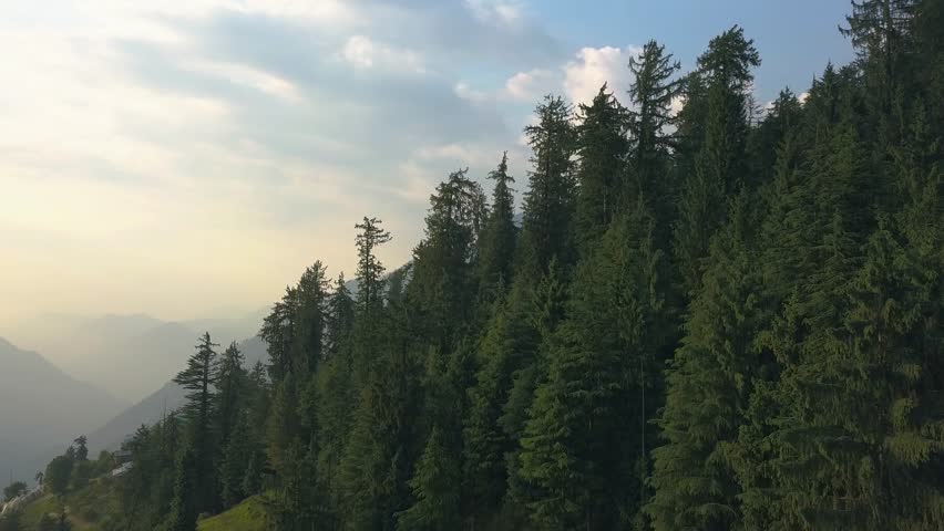Aerial view short of Jibhi Himachal Pradesh in India. Houses and trees in the mountainous area. Faguli festival is one of the biggest festival in Jibhi. The traditional houses here have stone roofs. 