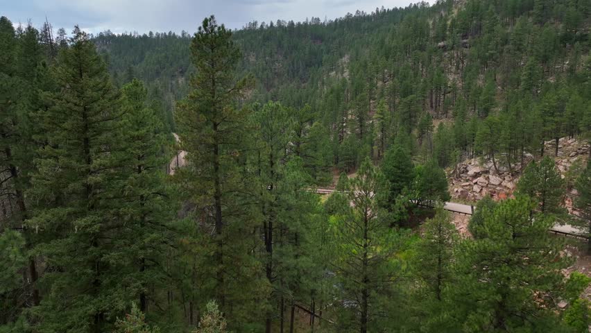 Aerial view of forest service road 95 and bridge over East Clear Creek surrounded by lush green trees, East Clear Creek, Arizona, United States.