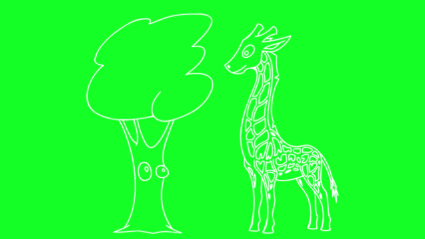 Animated outline drawing of a giraffe standing next to a tree on green screen background, wildlife vector template for animation and digital media.