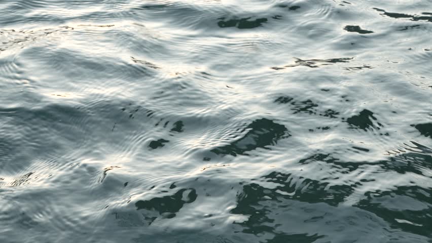 The water is calm and still, with ripples forming on the surface. The image has a serene and peaceful mood, as if it were a snapshot of a quiet moment in nature