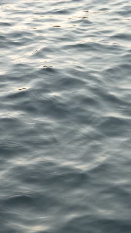 The water is calm and still, with ripples forming on the surface. The image has a serene and peaceful mood, as if it were a snapshot of a quiet moment in nature
