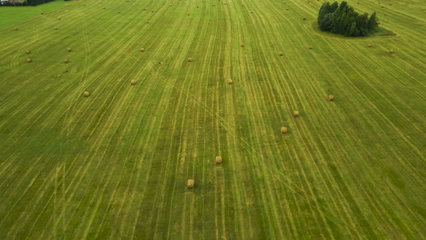 Aerial drone flying over freshly made silage wheat hay bales that are meant for animal feed on a grassy green vast large farm field during a cloudy day. Trees are visible on the side of the video.