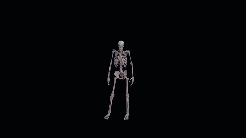 Funny and spooky human skeleton dancing animation. Perfect looping clip for Halloween parties, horror themes, creepy backdrops, festive intros, comedy visuals, and seasonal motion graphics.