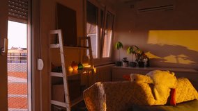 warm sunlight fills a cozy living room with patterned cushions, soft lighting, and lush houseplants by the window, enhancing the tranquil home environment - Powered by Shutterstock - Get 15% off with code: PIKWIZARD15