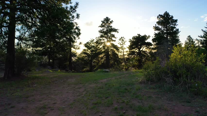 Sunrise cinematic drone video of alpine valley, peaks glowing amber, pine forests below, and vehicles traveling a winding highway through the mountains.