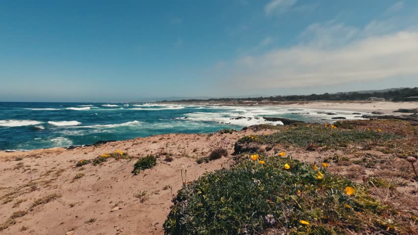 Sunny California coastline with yellow wildflowers, sandy beaches, and powerful ocean waves