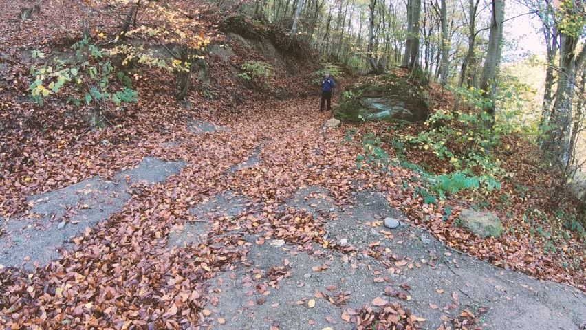 Relaxing hike in beautiful forest in autumn