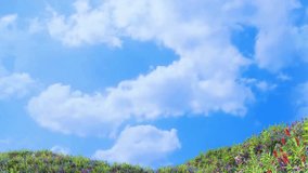 Back to School Animated Video Loop Colorful 3D Typography, Cartoon Brain, Backpack and Sky Animation - Powered by Shutterstock - Get 15% off with code: PIKWIZARD15