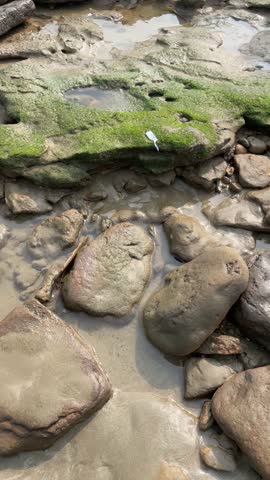 Seaside with stones and water