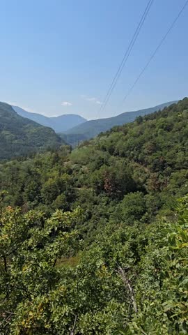 mountain landscape with trees. beautiful landscape