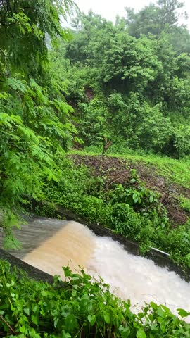 Loud, rushing water, forest waterfall 
