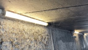 Creepy dark concrete wall illuminated by a lamp, with cobwebs and traces of dirt. The atmosphere of an abandoned room or basement - Powered by Shutterstock - Get 15% off with code: PIKWIZARD15