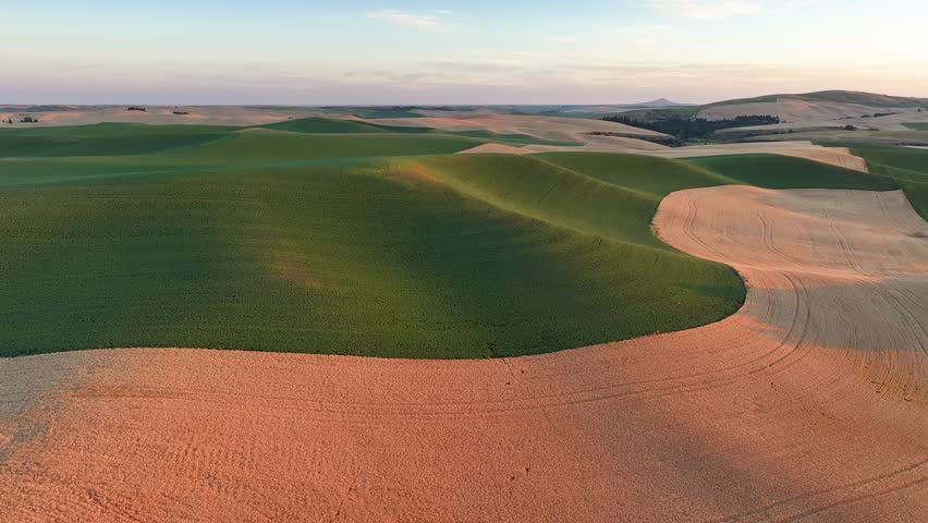 Fading sunlight on the rolling hills of the Palouse region of Washington State.	