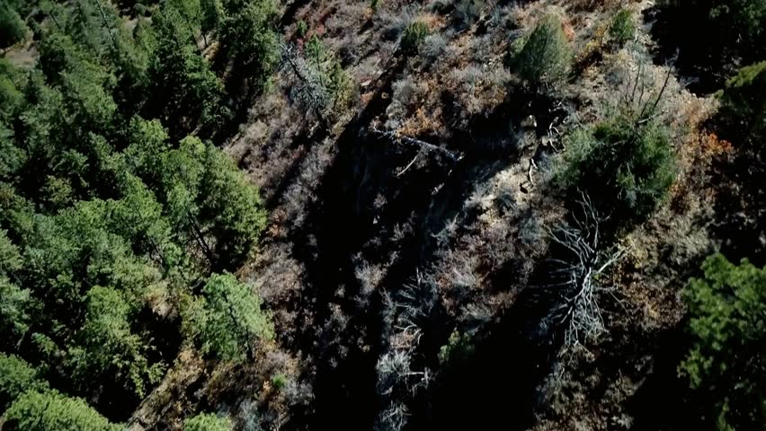 Aerial view of a forest and rocky terrain in the mountains of colorado