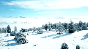 Snow covered trees in a winter landscape with mountains in the background - Powered by Shutterstock - Get 15% off with code: PIKWIZARD15