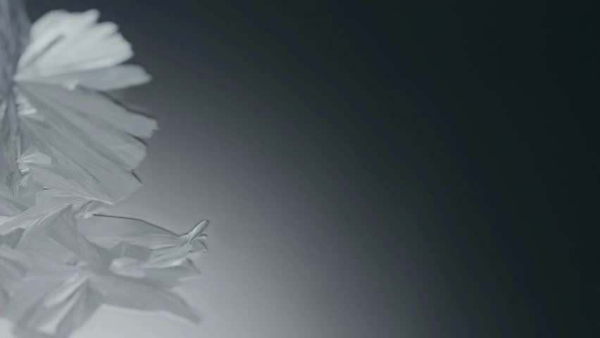 Freezing water quickly turns into ice