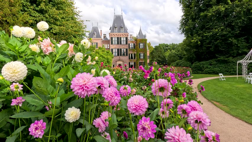 Vibrant pink and white dahlias sway gently in a botanical garden, with a historic castle in the background under soft daylight and partly cloudy skies