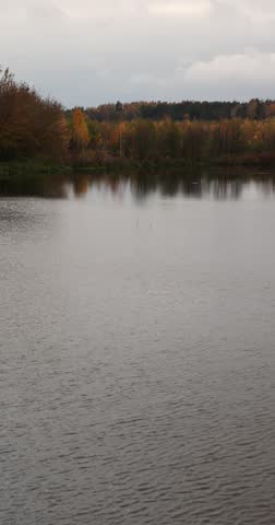 birches and other trees with yellow and orange foliage on the shore of a lake or river, autumn landscape