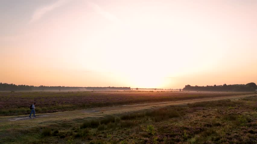 Purple heather field with morning fog and rising sun