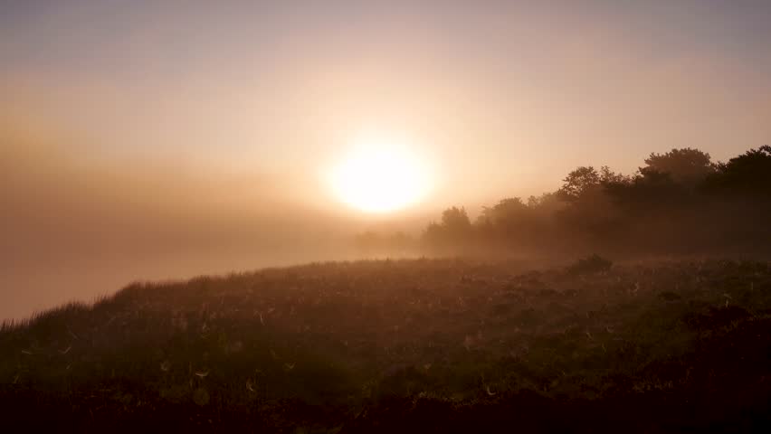 Golden sunrise illuminates foggy lake, creating serene reflection