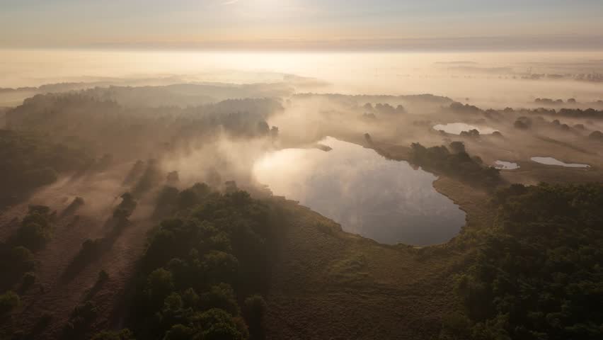 Fog is covering a lake and forest at sunrise