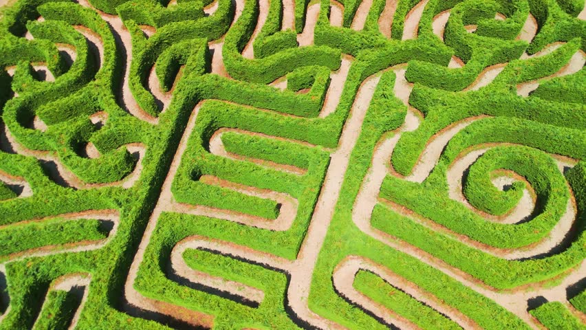 Top down aerial view of a natural green labyrinth garden on a sunny day. Geometrical maze with dense hedges symbolizing confusion, choices, and searching for direction or solution.