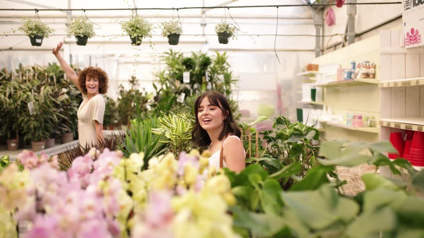 Professional florist nurturing vibrant orchids inside greenhouse, carefully tending colorful blossoming flowers with passion and expertise