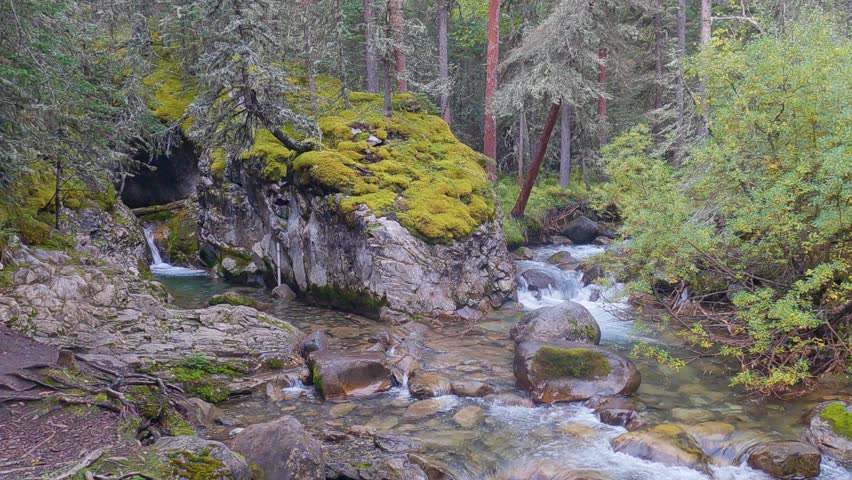 Aerial drone view of a serene river meandering through a vibrant autumn forest. The scene showcases golden-yellow and orange foliage contrasting against evergreen trees, with clear blue skies overhead