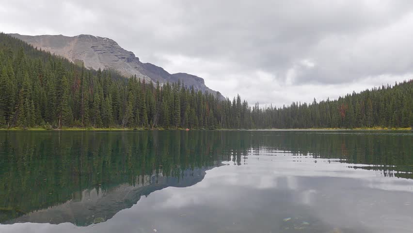 The green water reflects the vibrant greenery, showcasing the untouched natural beauty of the wilderness. This cinematic scene perfect for projects related to eco-tourism, environmental conservation
