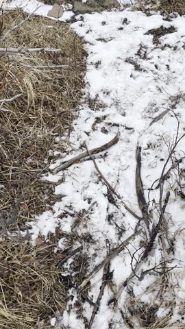 burning bear east, forest, mountains, hiking, trail, river, stream, wildlife, camping, outdoors, adventure, scenic, nature, sunlight, trees, autumn, summer, panoramic, aerial, drone, walking, backpack