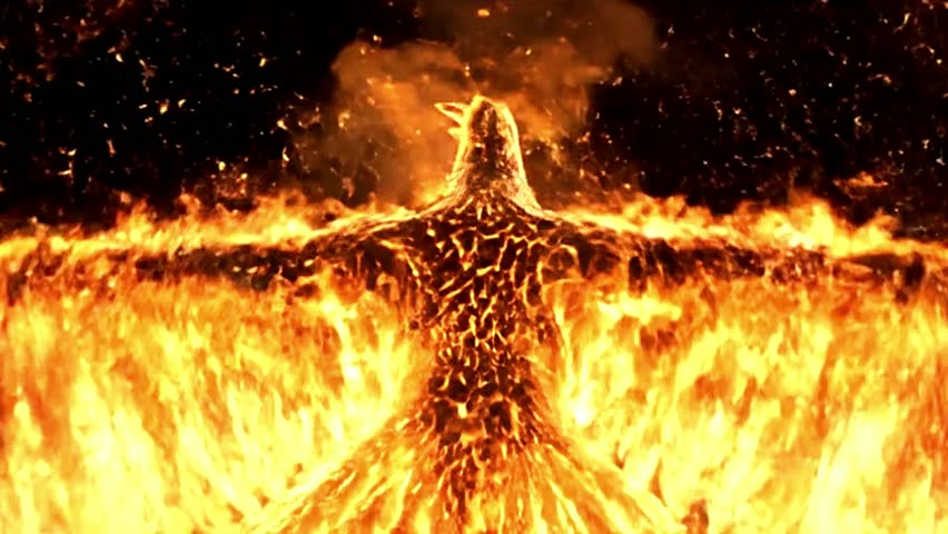 Golden phoenix made of radiant flames soars through darkness, leaving fiery trails before exploding into pure white light for a seamless cinematic transition.