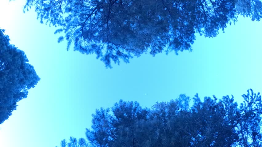 Great Basin Star Trail Timelapse