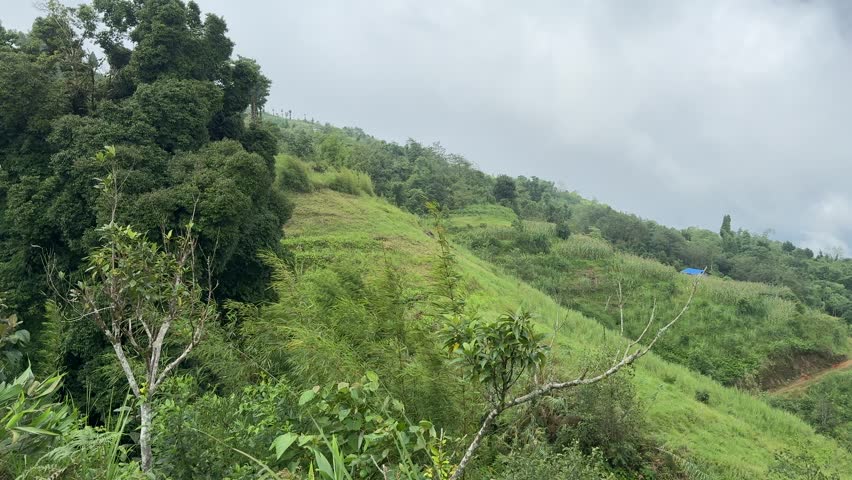 Serene Nature Hillside with Flowing Air and Scenic Landscape View – Peaceful Mountain Hill Panorama in Tranquil Atmosphere