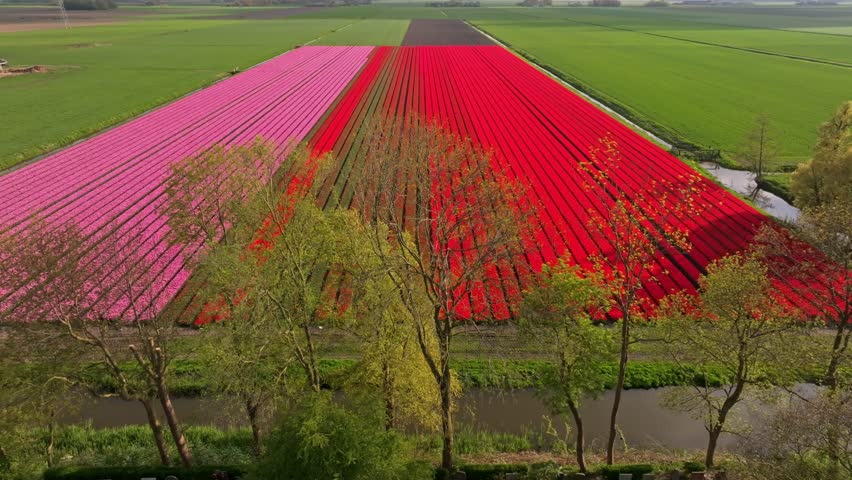 Aerial view of agricultural landscape with Stompetoren village in center