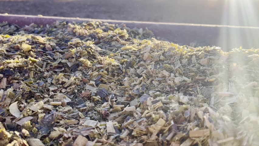 Animals and feed in feedlot system. High technology in animal nutrition a confinement. Wonderfull sunset on feedlot