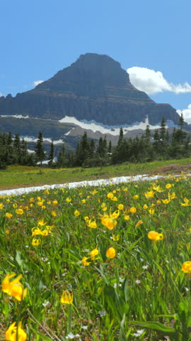 Explore the stunning beauty of Glacier National Park in Montana, where vibrant wildflowers bloom amid majestic mountains under a clear blue sky, ideal for adventurers and nature lovers