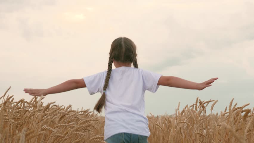 agriculture, wheat field, golden wheat farm field sunset, little girl running across field get married. agriculture. Playing from pilot airplane. My childhood dream fly. View back. concept agriculture