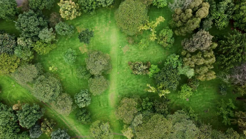Aerial Drone view Forest area Simon bolivar park trees and grass area Bogota Colombia 4k