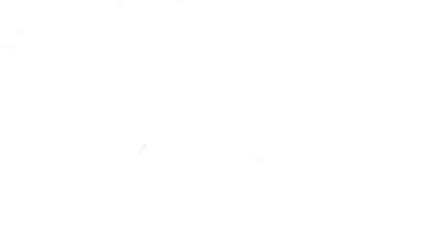 Various oil paintings, floral landscapes, streams, chrysanthemums, horses, cottages, birds, plum blossoms