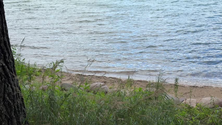 Shore of a lake in Wisconsin