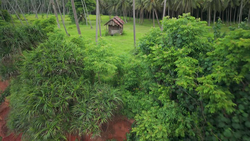Red cliff in the south of Thailand