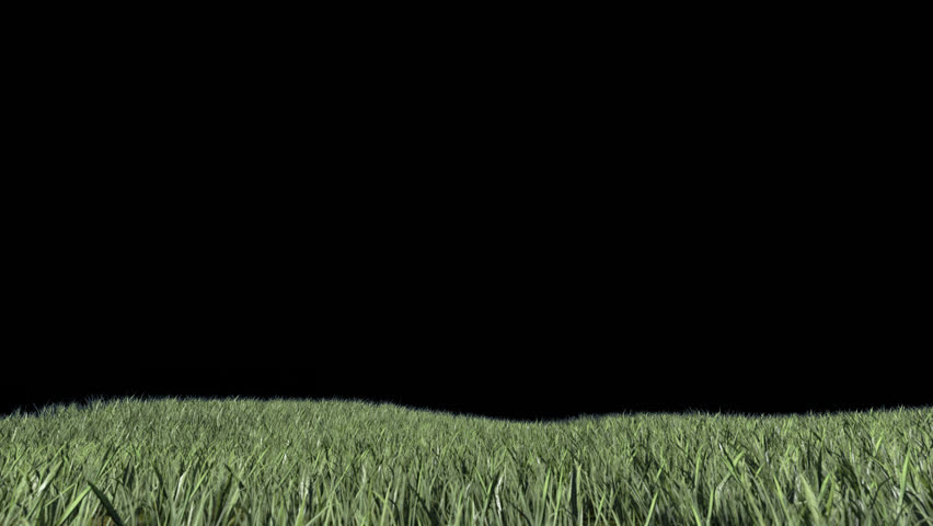 Grass Field with Alpha Channel