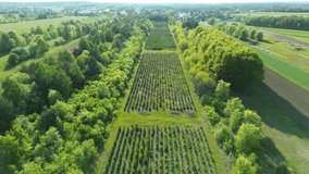 Tree nursery supporting natural regeneration efforts - Powered by Shutterstock - Get 15% off with code: PIKWIZARD15