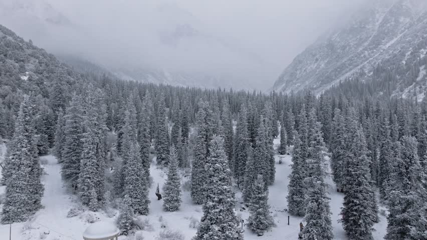 A winter landscape with foggy mountains and snow-covered fir trees, captured from a drone. Atmospheric and peaceful video with a slow flight over the snowy nature.