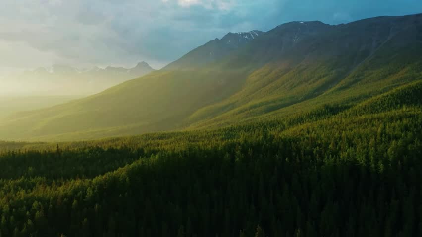 mountain forest valley, cinematic sun rays, scenic valley forest, 4k mountain landscape, tranquil forest scene, cinematic valley video, peaceful mountain view, forest sunlight footage, cinematic