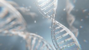 3D animation of a transparent DNA helix with glowing particles, symbolizing biotech, genetics, and advanced skincare. Ideal for science or beauty campaigns. - Powered by Shutterstock - Get 15% off with code: PIKWIZARD15