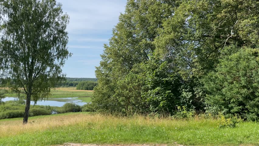 Scenic summer landscape with lush trees, grassy fields, and a tranquil river under a blue sky video