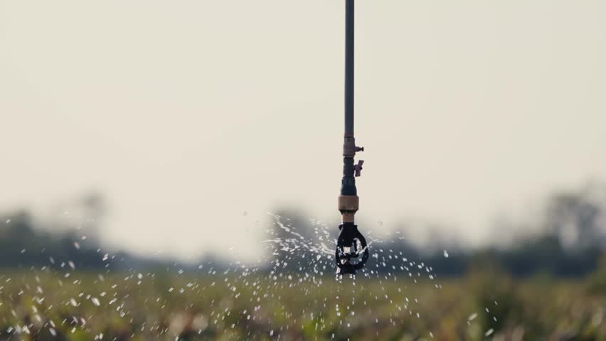 A sprinkler sprays water in close-up. Highly efficient irrigation system for agricultural fields in operation. Sprinkler irrigation in slow motion. Metal sprinkler head spraying irrigation water.