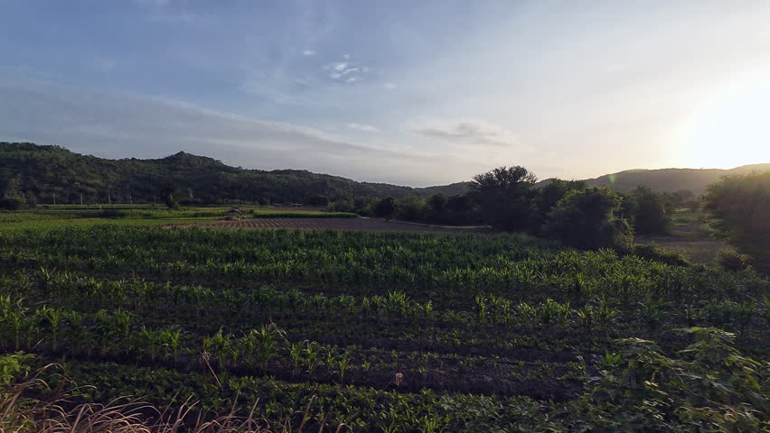 Take a train to see the nature along the way in Kanchanaburi.