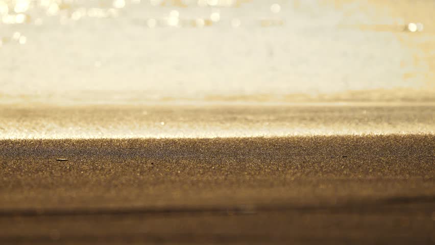 Waves of  Sea rolling in sunshine to the sandy beach. . Close-up shot of calming foamy water.